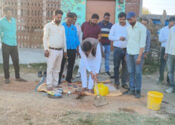 नगर पंचायत अध्यक्ष ने सड़क और नाली निर्माण कार्य का किया शिलान्यास।