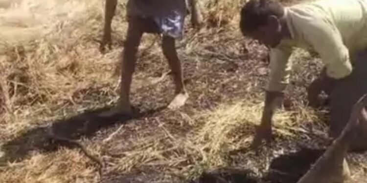 खलिहान में ट्रैक्टर-ट्राली पर रखी थी सरसों की फसल, में आग लगने से हजारो का नुकसान।