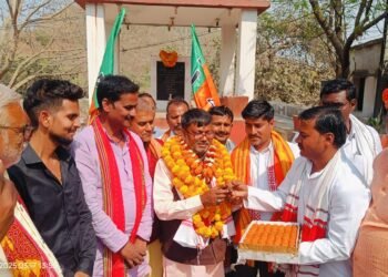 नवनियुक्त भाजपा जिला अध्यक्ष का नगर भाजपाइयों ने किया स्वागत।