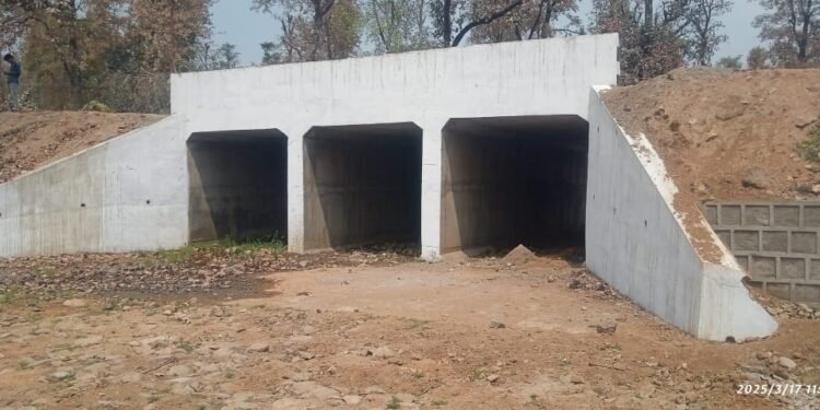 ठेकेदार की मनमानी, मानक के विपरीत बना दिया पुल बारिश में पानी इकठ्ठा होने की संभावना ।।