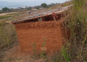 वन रेंज कोन में वन भूमि पर कब्जा बदस्तुर् जारी , विभाग मौन।