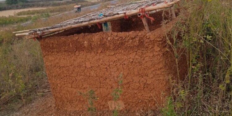 वन रेंज कोन में वन भूमि पर कब्जा बदस्तुर् जारी , विभाग मौन।