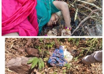 चिरूई के जंगल मे मृत अवस्था मे मिले दो शव,शिनाख्त जारी।