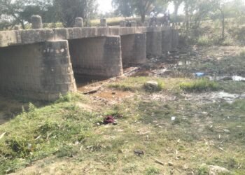 महिला को पांडू नदी पुल से धक्का देकर नीचे गिराया, दाहिने हाथ की कलाई टूटी।।