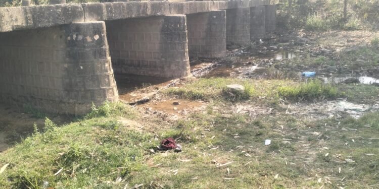 महिला को पांडू नदी पुल से धक्का देकर नीचे गिराया, दाहिने हाथ की कलाई टूटी।।