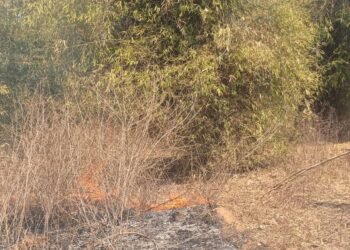 अज्ञात कारणों से किसान के प्लांटेशन में लगा आग।।