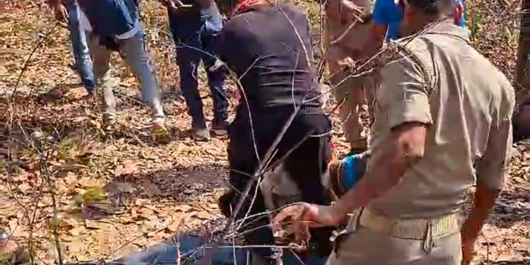 रनटोला के जंगल में पेड़़ से लटका मिला अज्ञात शव पूरे इलाके में फैली सनसनी
