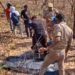 रनटोला के जंगल में पेड़़ से लटका मिला अज्ञात शव पूरे इलाके में फैली सनसनी
