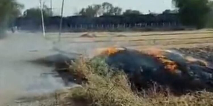 हाईवोल्टेज तार टुटने से खलिहान में रखे गेहूं जलकर खाक।