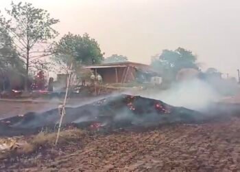 तेज आधी से रानीतारा गांव में लगी आग समान जलकर खाक।
