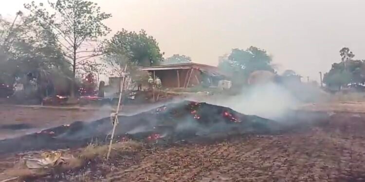 तेज आधी से रानीतारा गांव में लगी आग समान जलकर खाक।