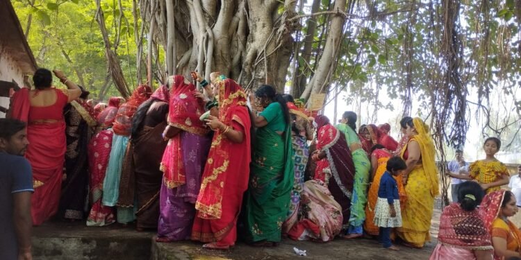 वट सावित्री पूजा में महिलाओं ने अपने पति के दीर्घायु होने की मंगल कामना की।