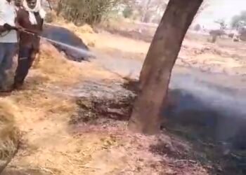संदिग्ध परिस्थितियो में खलिहान में लगी सैकड़ो गेहूं का बोझ जलकर खाक।