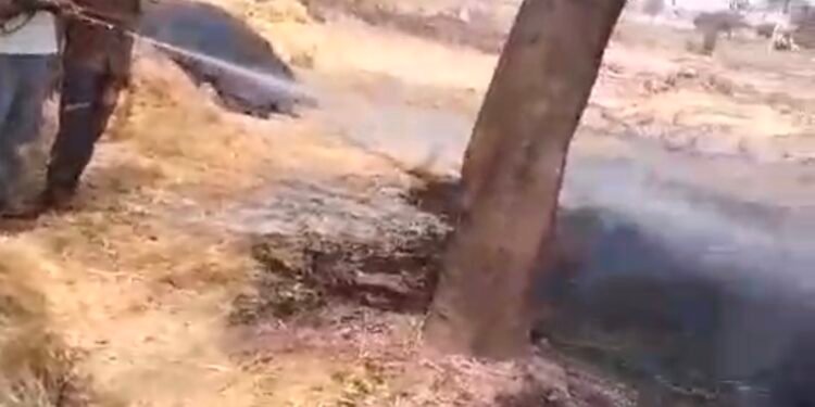 संदिग्ध परिस्थितियो में खलिहान में लगी सैकड़ो गेहूं का बोझ जलकर खाक।