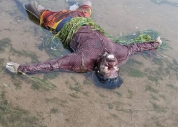 सोन नदी में अज्ञात शव मिलने से गांव में हड़कंप।