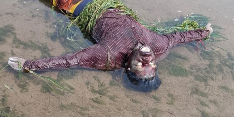 सोन नदी में अज्ञात शव मिलने से गांव में हड़कंप।