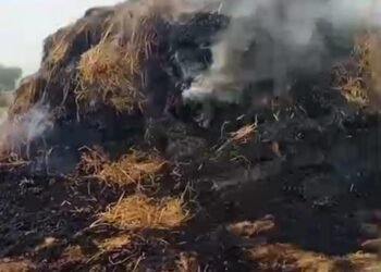 कुड़वा में अज्ञात कारणों से पुआल में लगी आग, ग्रामीणों ने किया मुआवजे की मांग।
