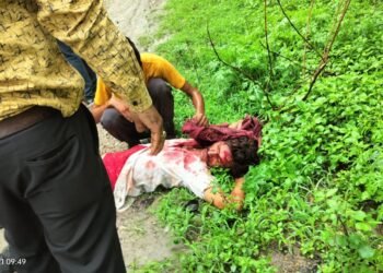 हाइवे पर हुआ भीषण ट्रक हादसा।