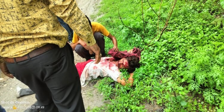 हाइवे पर हुआ भीषण ट्रक हादसा।