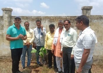 सोनविभा सेवा ट्रस्ट के द्वारा सोनभद्र में बृक्षरोपण का अनोखा प्रयास।