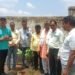 सोनविभा सेवा ट्रस्ट के द्वारा सोनभद्र में बृक्षरोपण का अनोखा प्रयास।