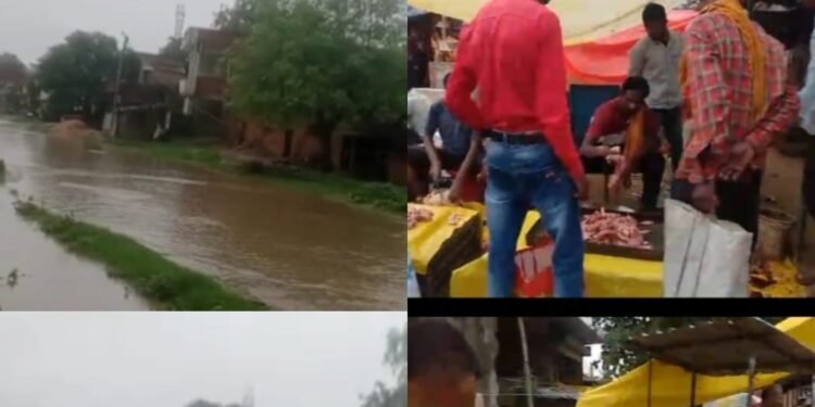 दुर्घटनाओं को दावत दे रही कोन-विंढमगंज मार्ग , प्रशासन मौन।