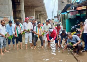 हल्की बारिश में भी नहीं निकल पा रहा नालियों से पानी-आशु