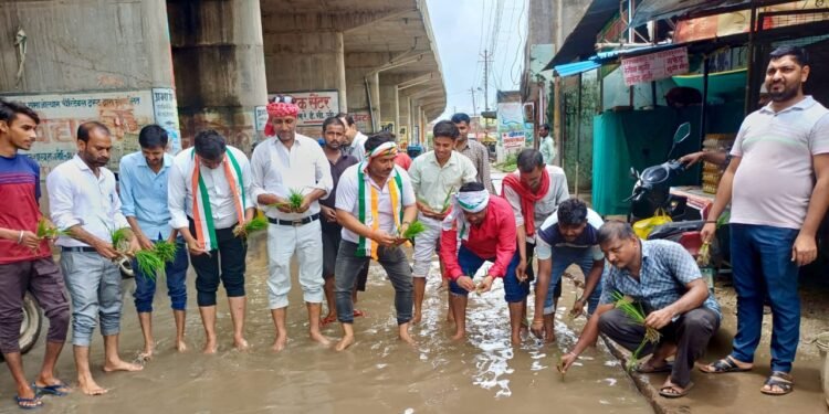 हल्की बारिश में भी नहीं निकल पा रहा नालियों से पानी-आशु