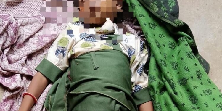 विषैले जंतु के काटने से 7 वर्षीय मासूम बालिका की मौत, परिजनों में मचा कोहराम।