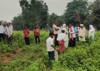 अराजक तत्वों द्वारा धान के खेत मे केमिकल डालने से फसल हुआ नष्ट।