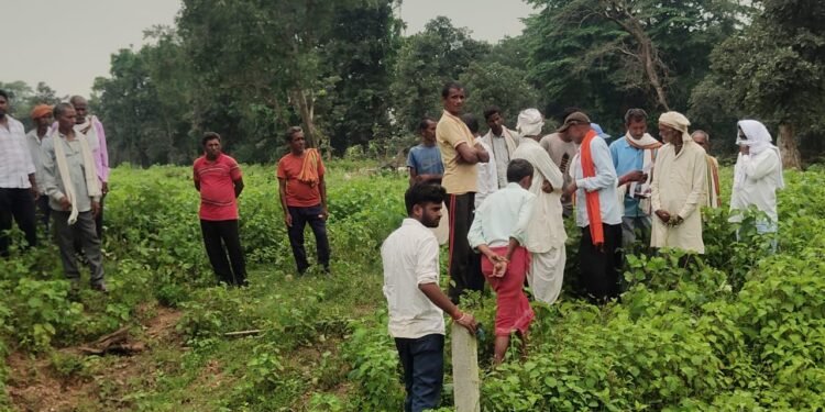 अराजक तत्वों द्वारा धान के खेत मे केमिकल डालने से फसल हुआ नष्ट।