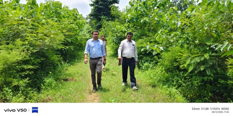 उप प्रभागीय वनाधिकारी ने गड़िया पौध रोपण का किया निरीक्षण।
