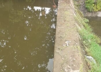 चेक डैम में नहाते वक्त 54 वर्षीय बृद्ध की मृत्यु।