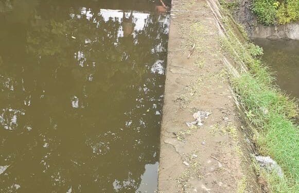 चेक डैम में नहाते वक्त 54 वर्षीय बृद्ध की मृत्यु।