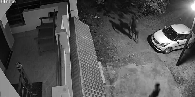 कपड़ा व्यवसाई के घर लाखों रुपए के सामान व नगद हुई चोरी, जांच में जुटी पुलिस।