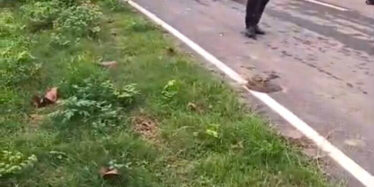 सोनभद्र। बाइक पर सवार तीन लोग, नाले के तेज बहाव में बहे।