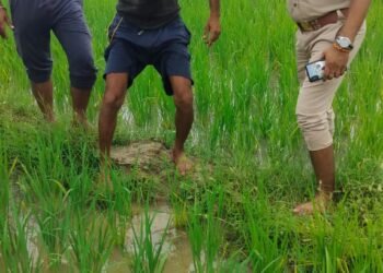 पारिवारिक विवाद के चलते युवक ने किया हाइटेंशन लाइन के खंभे पर चढ़ने का प्रयास, बाल-बाल बचा जान।