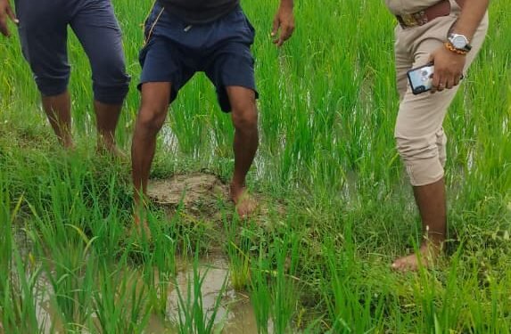 पारिवारिक विवाद के चलते युवक ने किया हाइटेंशन लाइन के खंभे पर चढ़ने का प्रयास, बाल-बाल बचा जान।