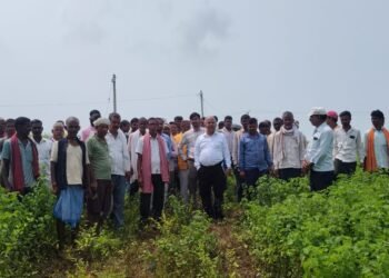 जिला विधायलय निरीक्षक ने किया पड़री गाँव का निरिक्षण।।