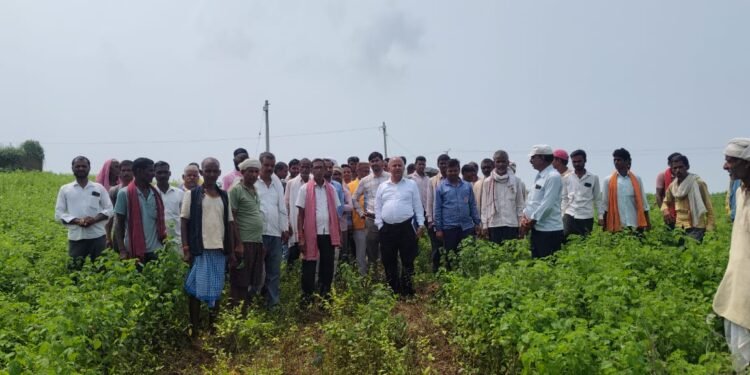 जिला विधायलय निरीक्षक ने किया पड़री गाँव का निरिक्षण।।