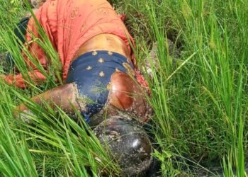 धान के खेत मे विवाहिता का शव मिलने से हड़कंप।