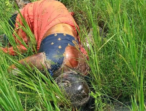 धान के खेत मे विवाहिता का शव मिलने से हड़कंप।