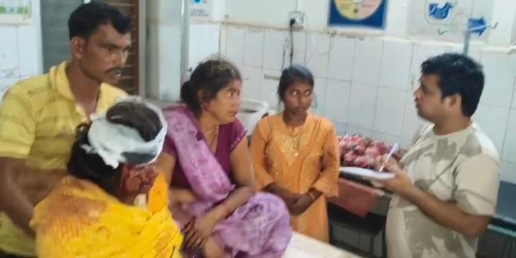 तेज रफ्तार पिकअप अनियंत्रित होकर पलटने से कई घायल।