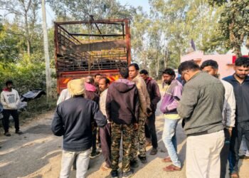 बीजपुर में मवेशियों से भरी डीसीएम पकड़ी।