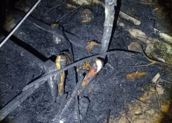 झोपडी में अलाव तापते समय भड़की आग में जिंदा जली पत्नी, पति ने भागकर बचाई जान।