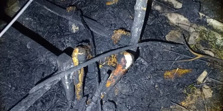 झोपडी में अलाव तापते समय भड़की आग में जिंदा जली पत्नी, पति ने भागकर बचाई जान।