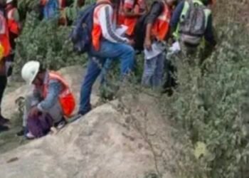 म्योरपुर ब्लॉक की चट्टानों में लिथियम मिलने की संभावना।