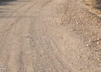 पटवध- बसुहारी मार्ग के निर्माण में अनियमितता व देरी को लेकर भाकपा ने सांकेतिक प्रदर्शन कर आंदोलन की दी चेतावनी।