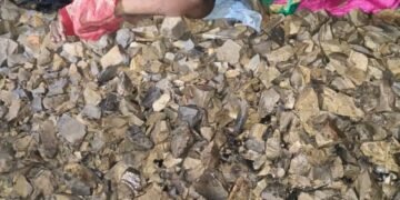 दुद्धी क्षेत्र के कटौंधी गांव में रेलवे ट्रैक के किनारे मिला शवमौके पर दुद्धी पुलिस पहुंच कर जांच में जुटी।