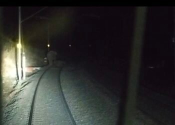 ट्रेन के चपेट आया जंगली हाथी, झुंड ने ट्रेक को घेरा।